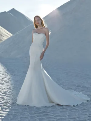 astral_b - لباس عروس و نامزدی مدل ۲۰۲۴ جدید کالکشن پرنوویاس